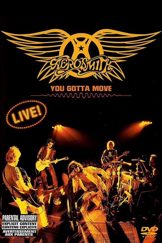 Aerosmith - You Gotta Move