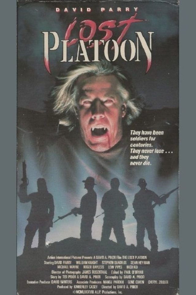 The Lost Platoon