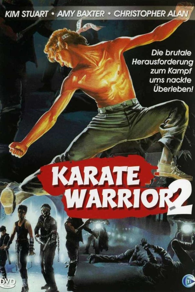 Karate Warrior 2
