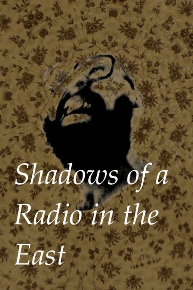 Shadows of a Radio in the East