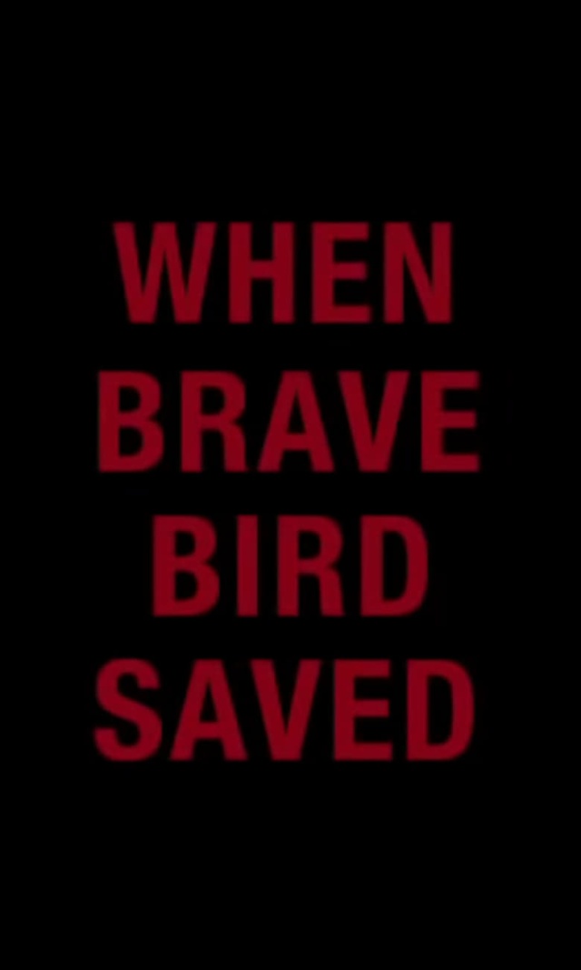When Brave Bird Saved