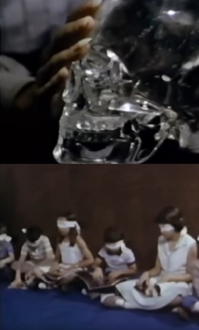 The Psychic Connection