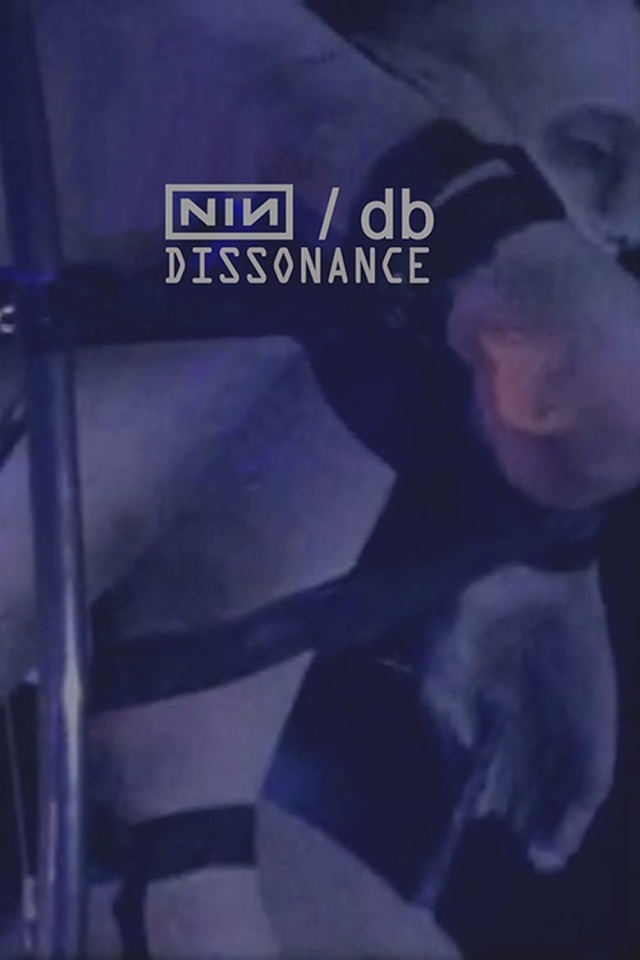 NIN/DB - DISSONANCE