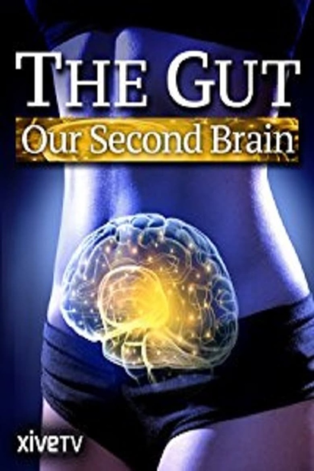 The Gut: Our Second Brain