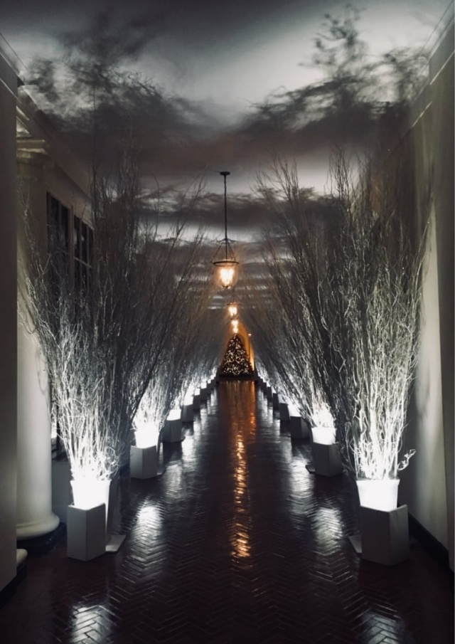 2017 Holiday Decorations at the White House