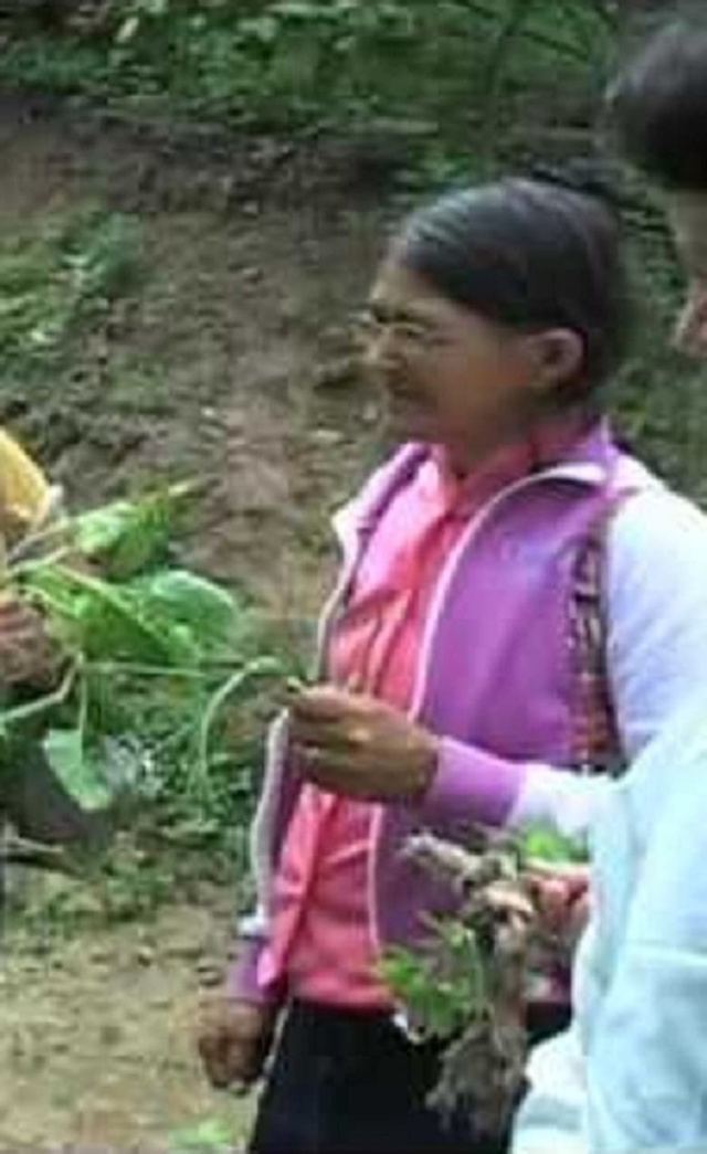 Farmácia Verde do Sertão