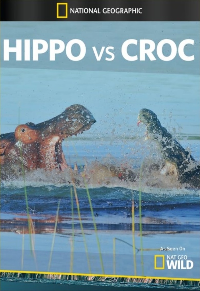 Hippo vs Croc