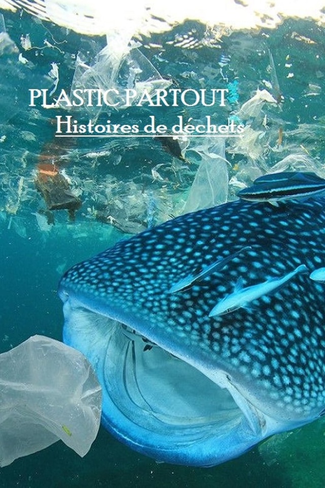 Plastic partout Histoires de déchets