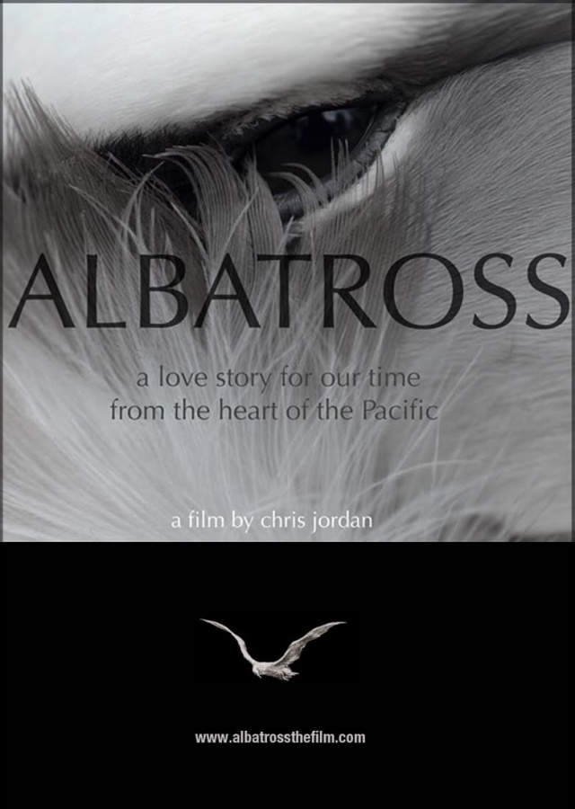 Albatross