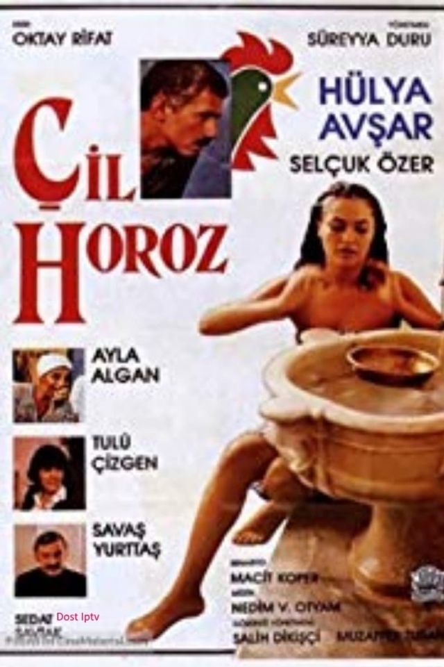 Çil horoz
