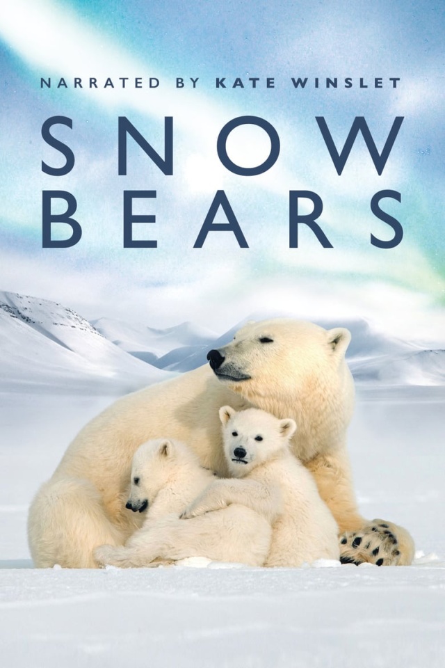 Snow Bears