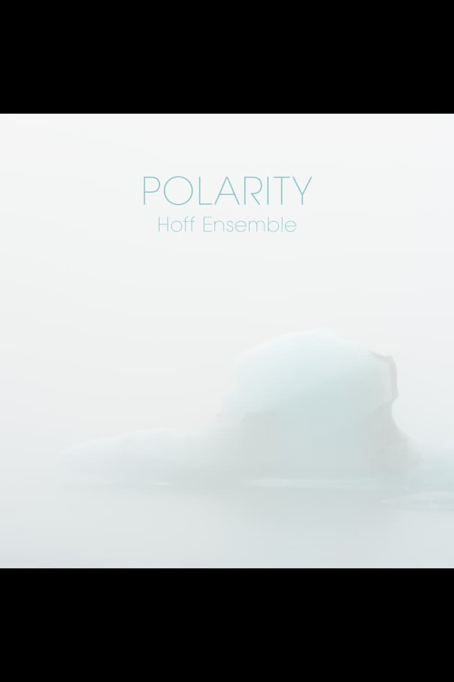 Hoff Ensemble - Polarity