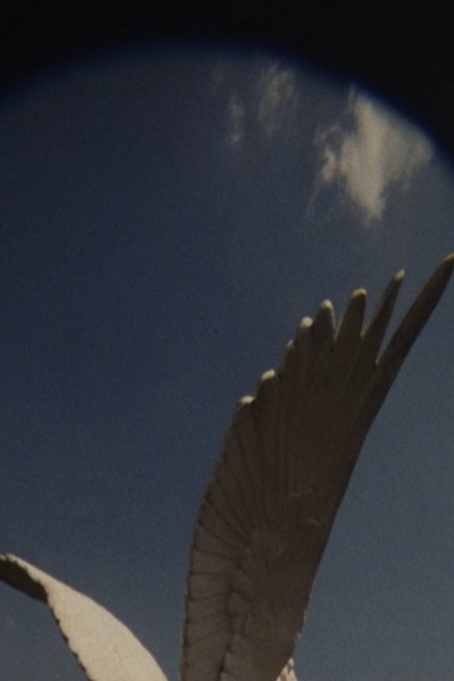 The House Is Yet to be Built