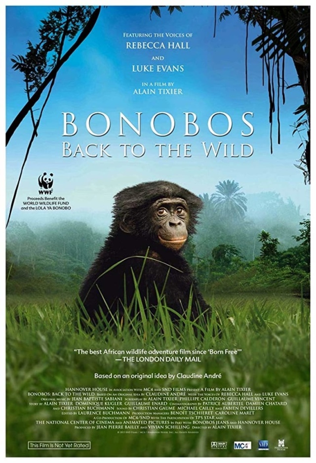 Bonobos: Back to the Wild