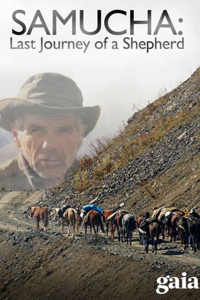 Samucha, un dernier été dans le Caucase