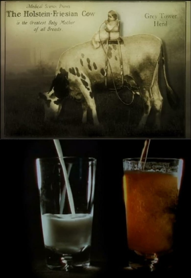 Notes on Milk