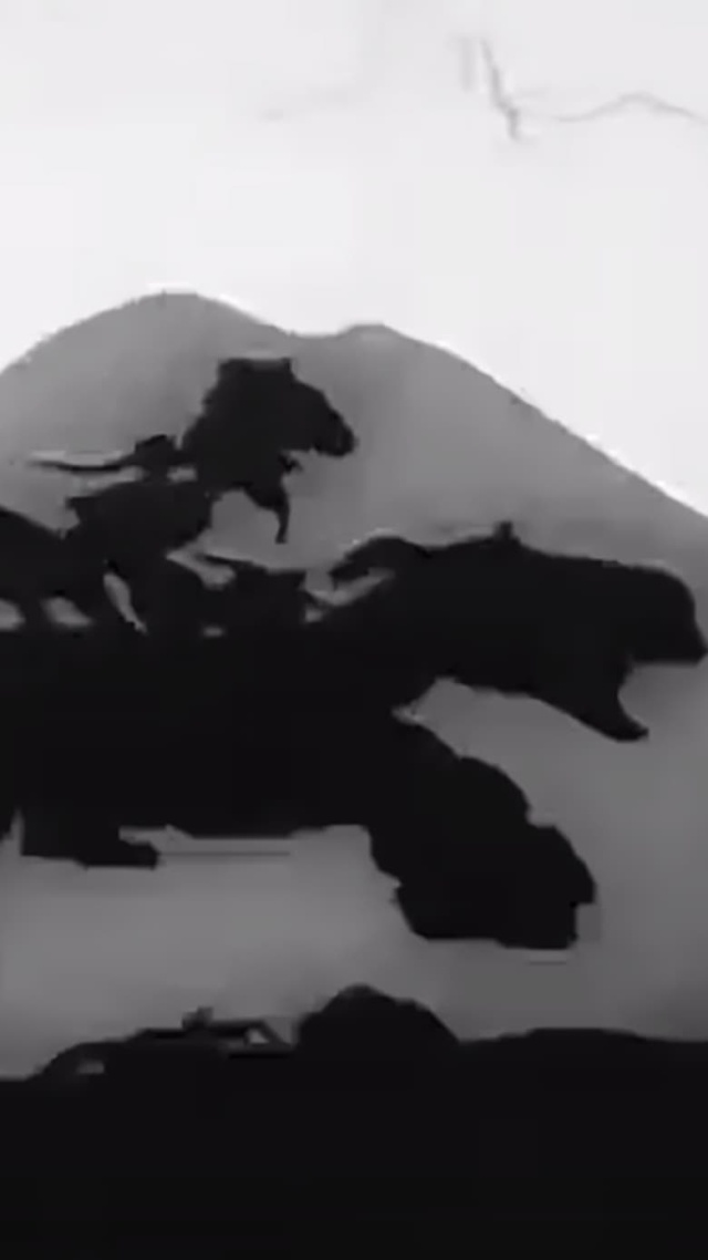 Pokhozhdeniya Myunkhauzena