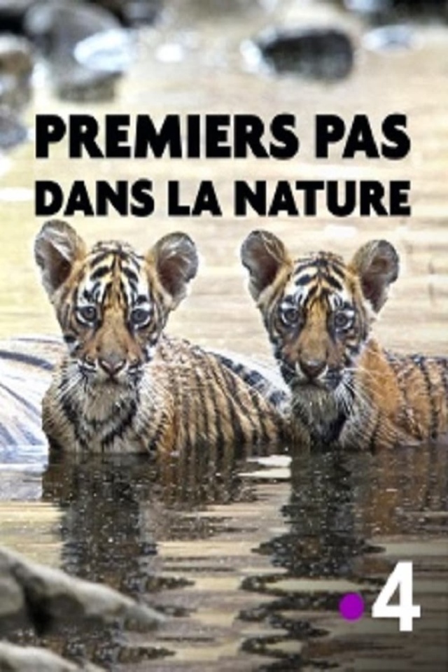 Premiers pas dans la nature
