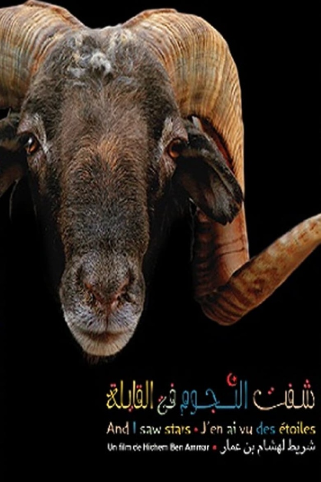 شفت النجوم فالقايلة