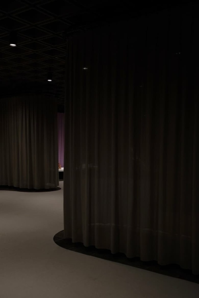 The Amateur’s Guide