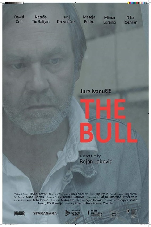 The Bull
