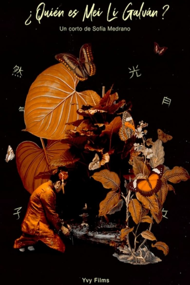 Who is Mei Li Galván?