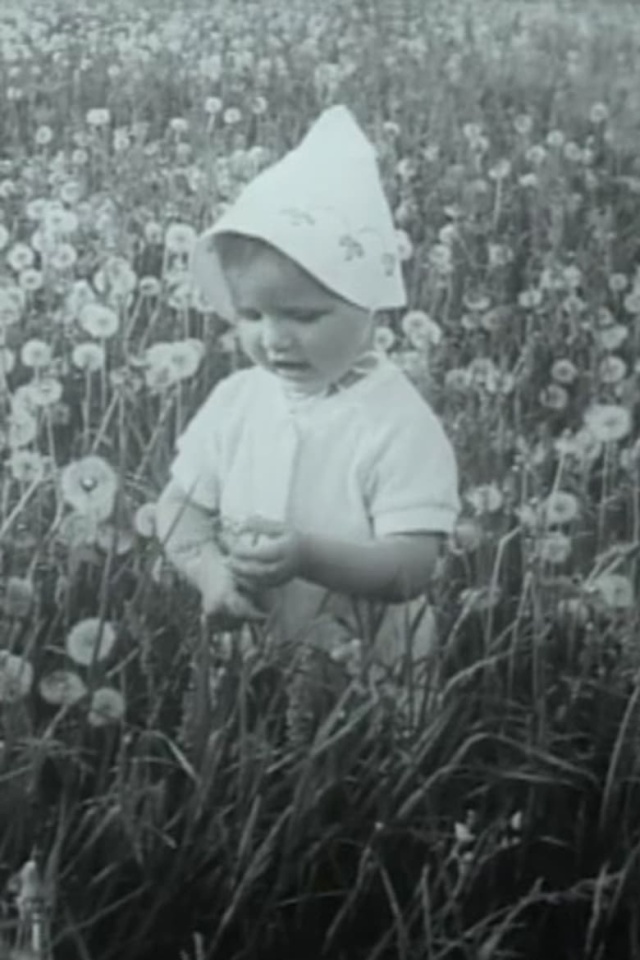 Through the blooming linden