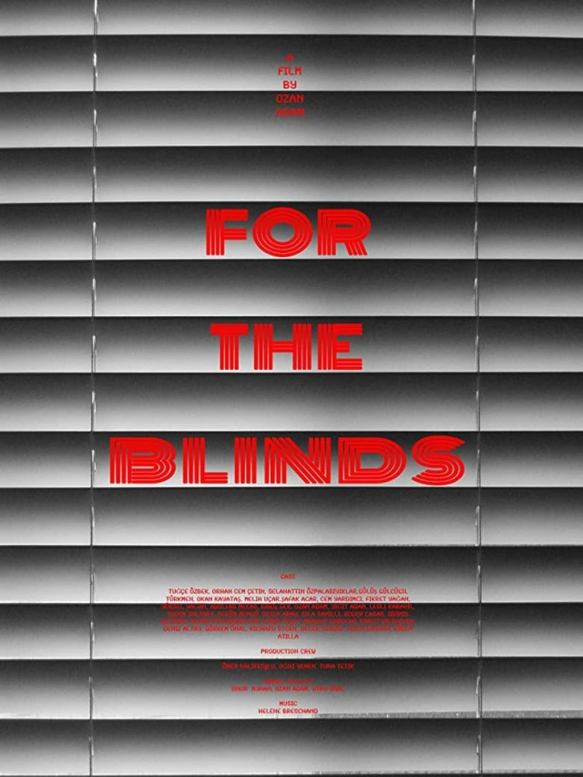 For the Blinds