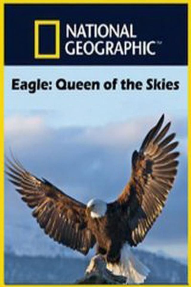 Eagle - Queen of The Skies