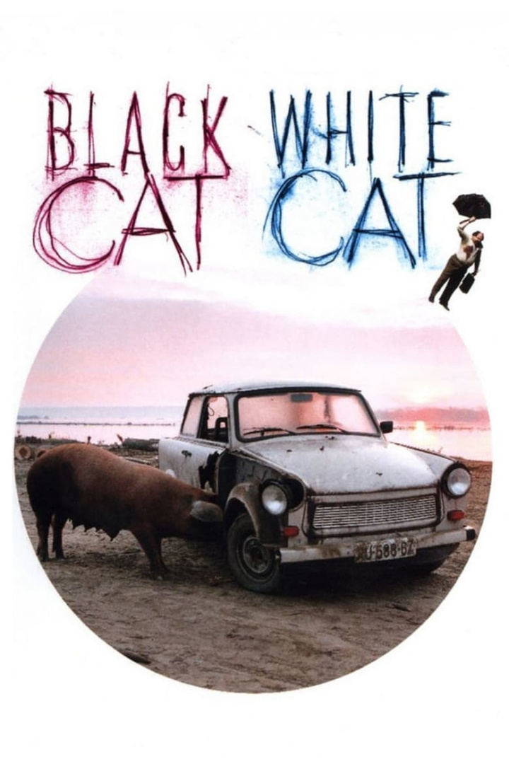 Black Cat, White Cat i gruppen Alla filmer hos Mohamad shop (1075)