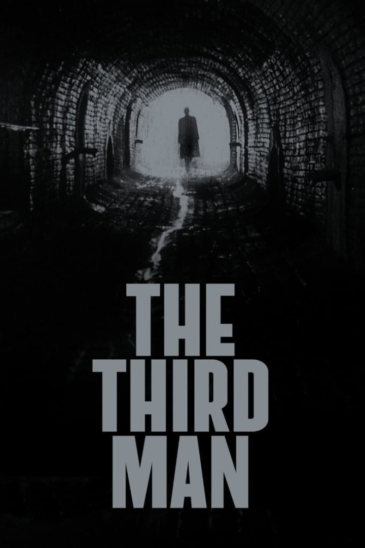 The Third Man i gruppen Thriller hos Mohamad shop (1092)
