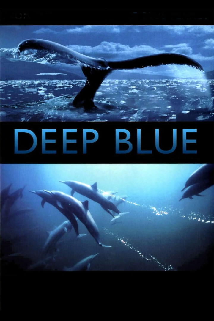 Deep Blue i gruppen Alla filmer hos Mohamad shop (11019)