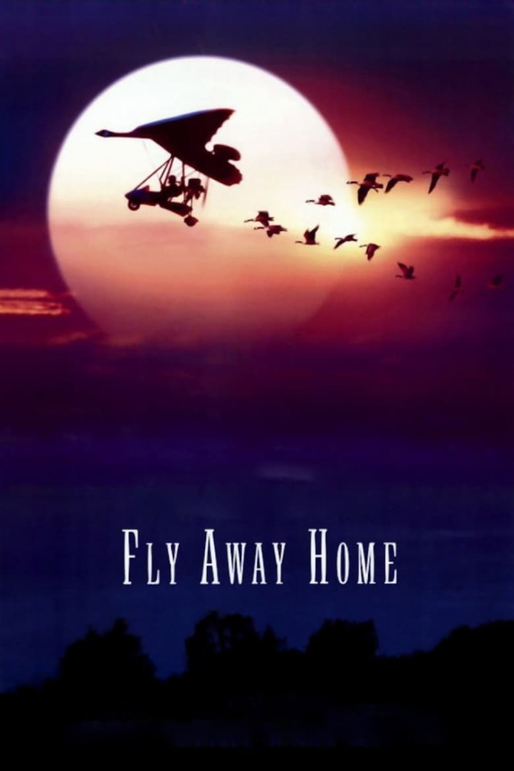 Fly Away Home i gruppen Alla filmer hos Mohamad shop (11076)