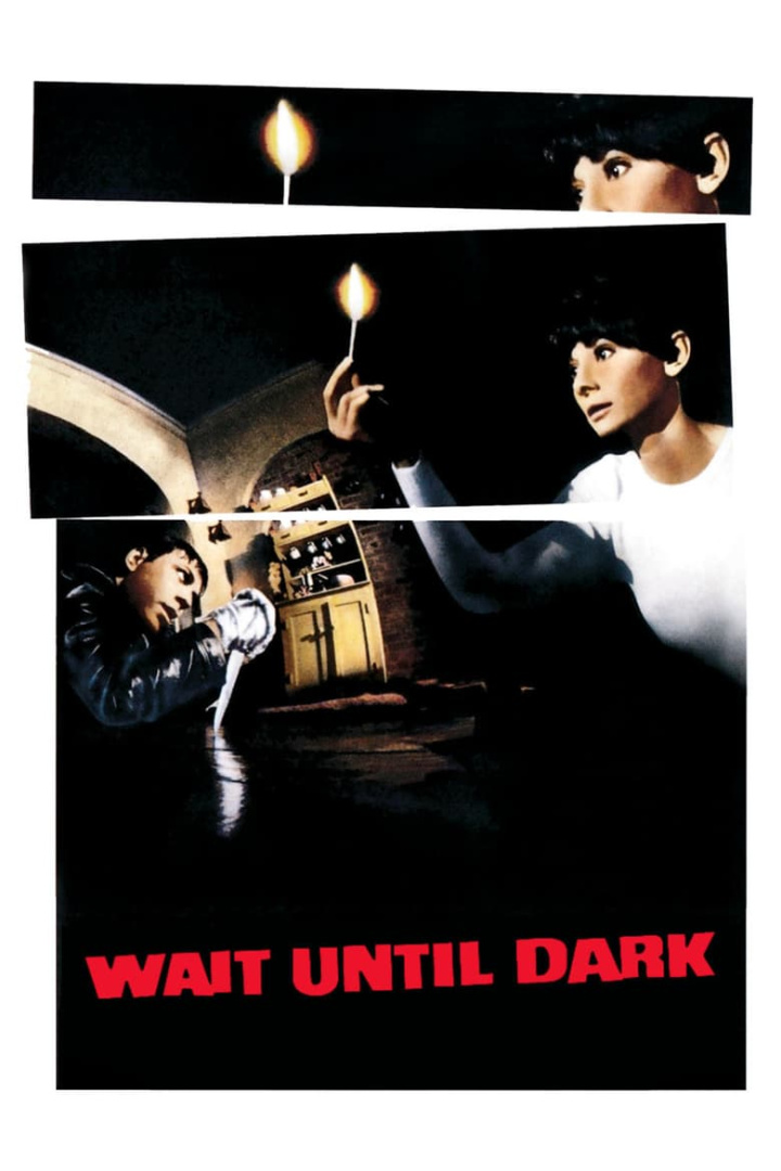 Wait Until Dark i gruppen Alla filmer hos Mohamad shop (11206)