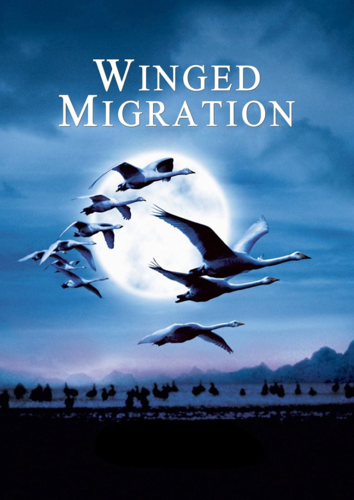 Winged Migration i gruppen Alla filmer hos Mohamad shop (11516)