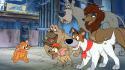 Oliver & Company