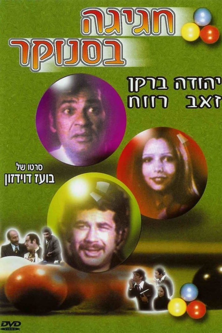 Festival At The Poolroom i gruppen Alla filmer hos Mohamad shop (13520)