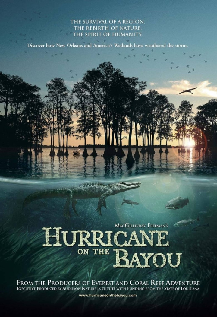 Hurricane on the Bayou i gruppen Alla filmer hos Mohamad shop (15756)