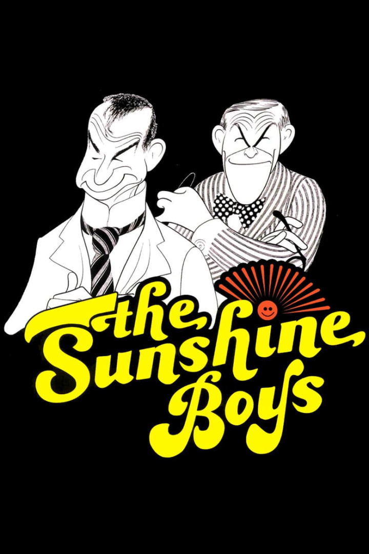 The Sunshine Boys i gruppen Alla filmer hos Mohamad shop (16561)