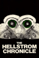 The Hellstrom Chronicle