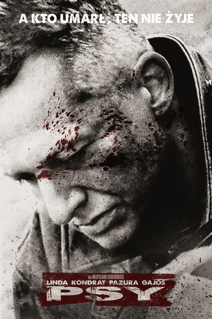 Psy i gruppen Alla filmer hos Mohamad shop (18575)