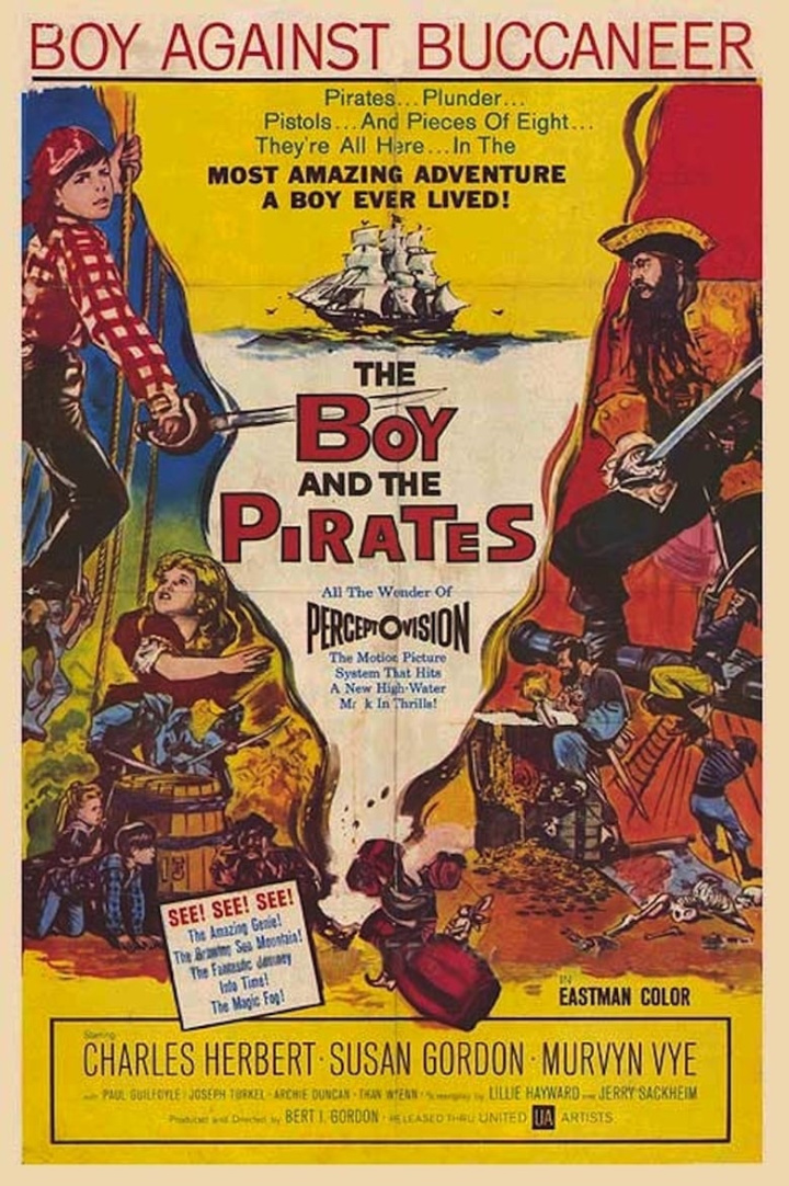 The Boy and the Pirates i gruppen Familj hos Mohamad shop (18977)