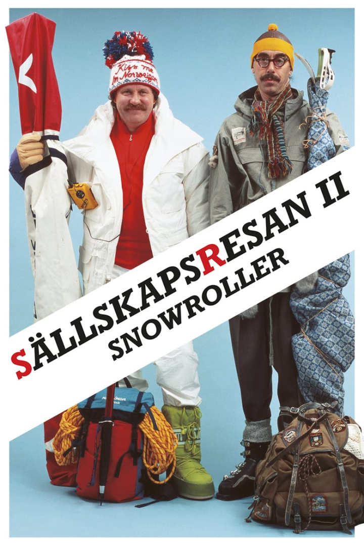 Sällskapsresan II - Snowroller i gruppen Alla filmer hos Mohamad shop (19181)