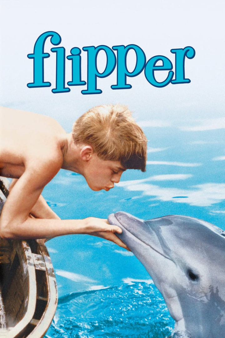 Flipper i gruppen Drama hos Mohamad shop (19893)