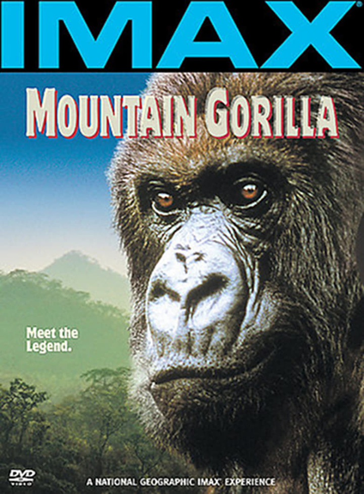 Mountain Gorilla i gruppen Alla filmer hos Mohamad shop (21743)