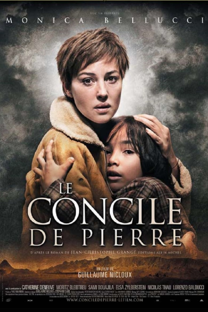 The Stone Council i gruppen Alla filmer hos Mohamad shop (21775)