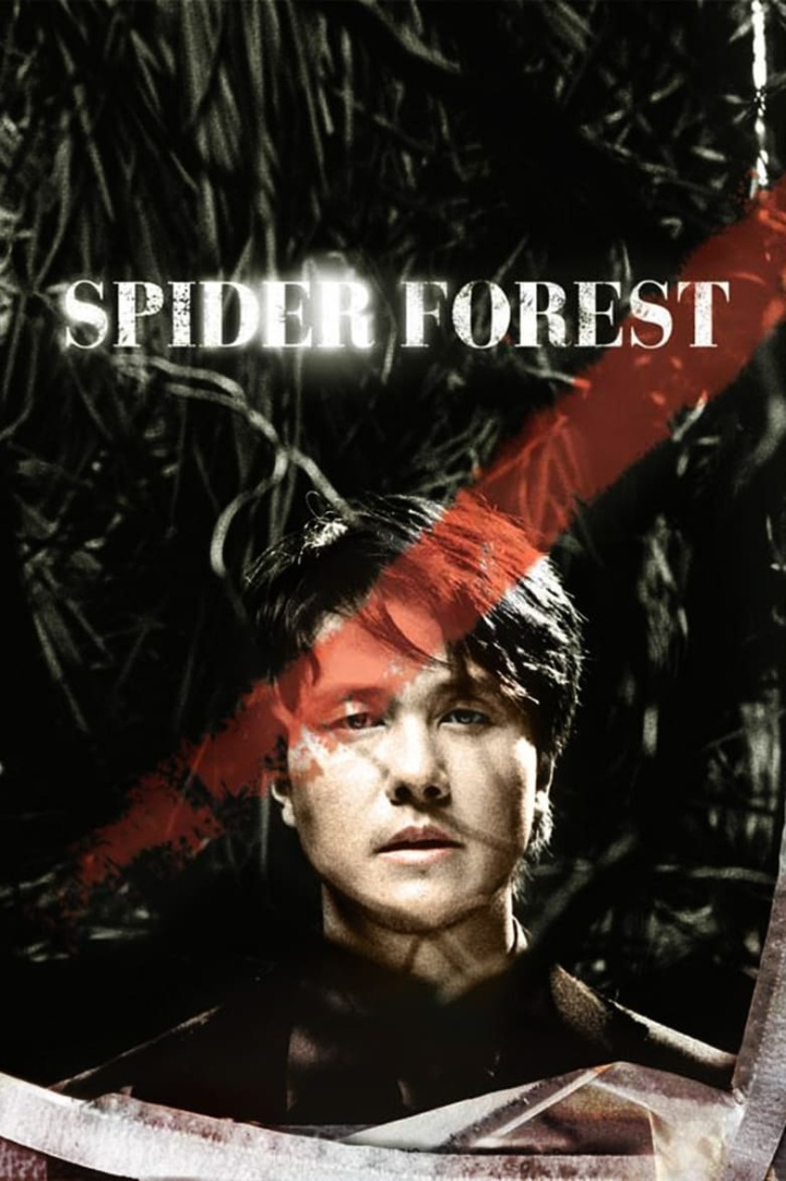 Spider Forest i gruppen Alla filmer hos Mohamad shop (21781)