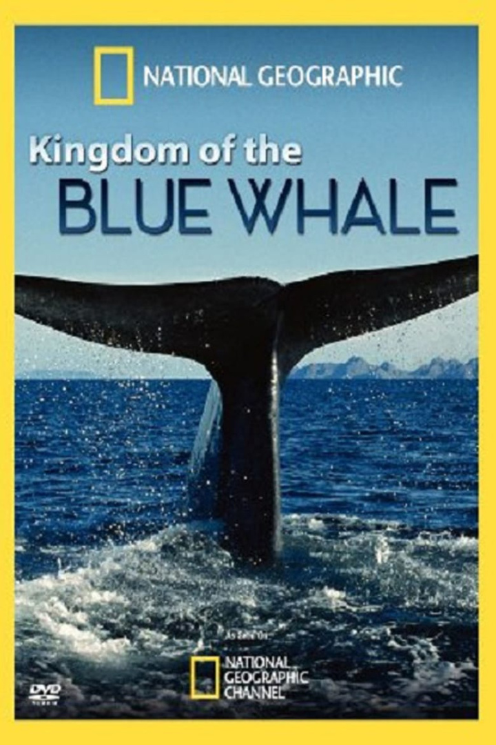 Kingdom of the Blue Whale i gruppen Alla filmer hos Mohamad shop (22109)