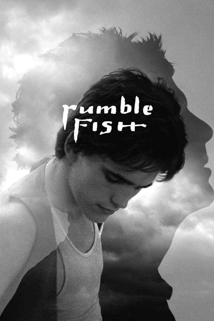 Rumble Fish i gruppen Alla filmer hos Mohamad shop (232)