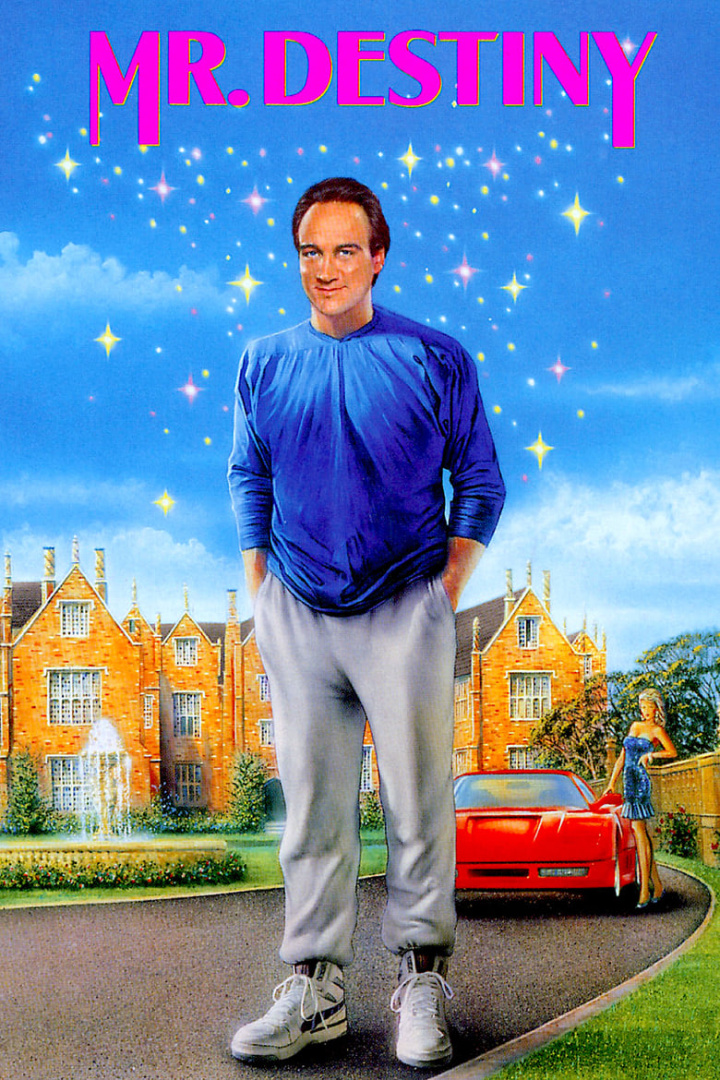 Mr. Destiny i gruppen Alla filmer hos Mohamad shop (2612)